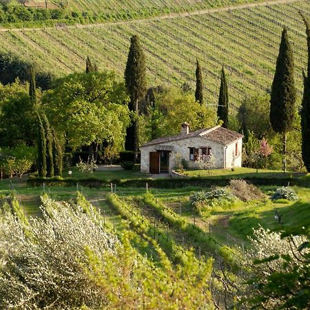 B&B Podere Montese San Gimignano Exterior foto